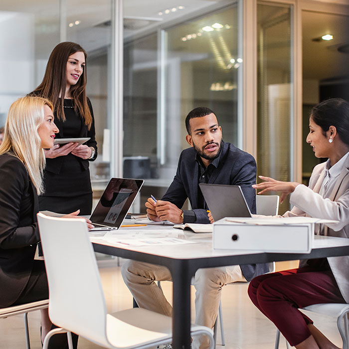 Business People Having a Meeting